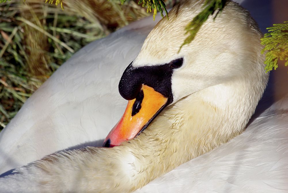 Photograph by Лилия Потравнова