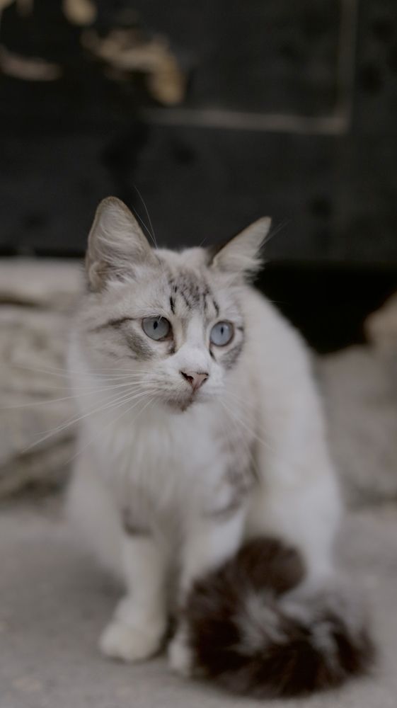 Photograph by Otto Acosta