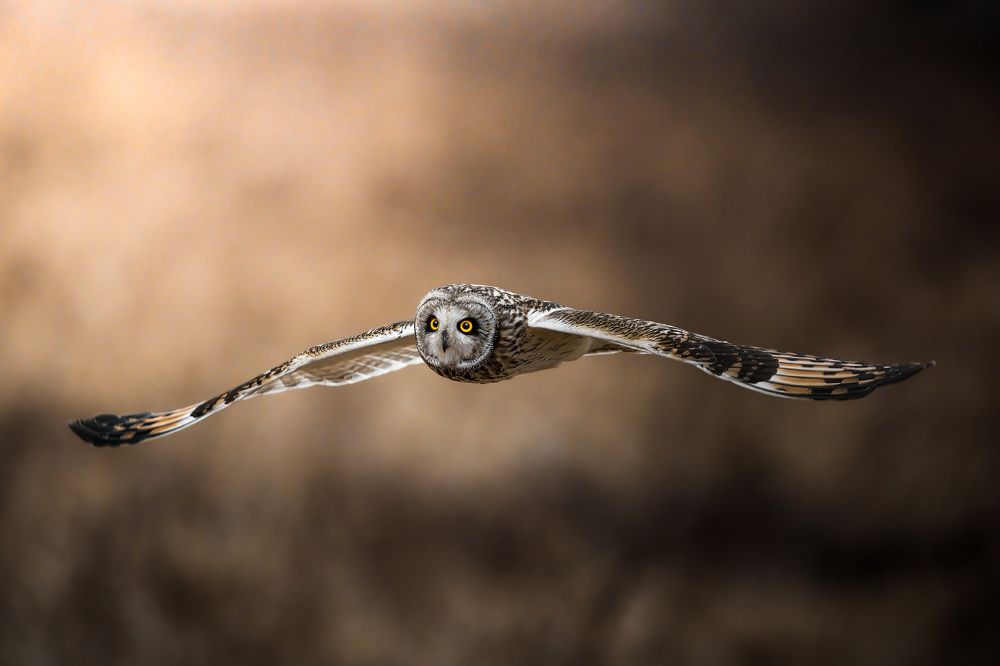 Photograph by Matsubara Hiroki