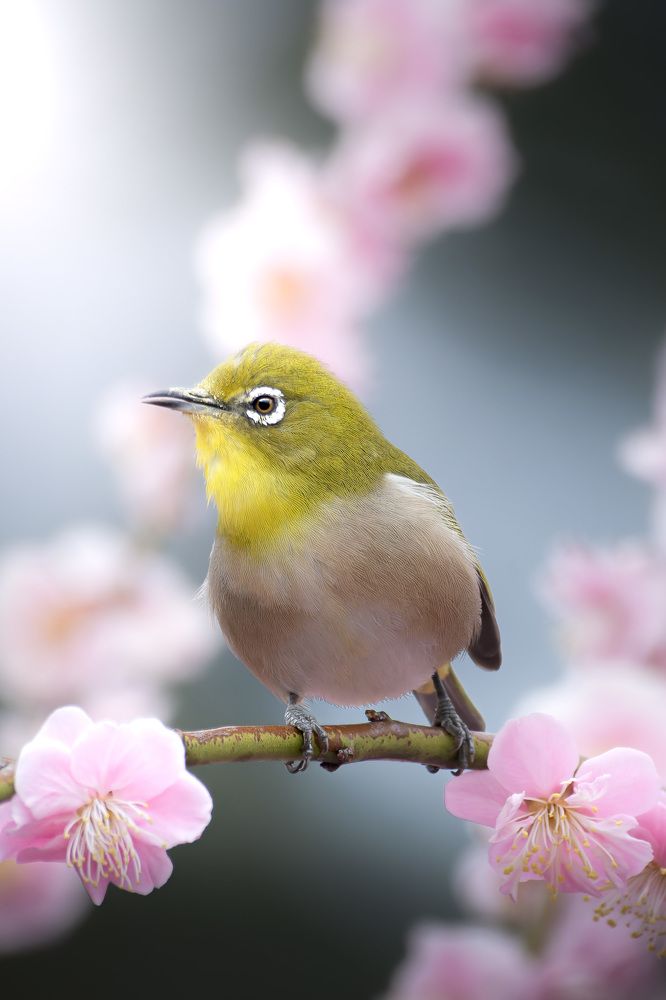 Photograph by Matsubara Hiroki