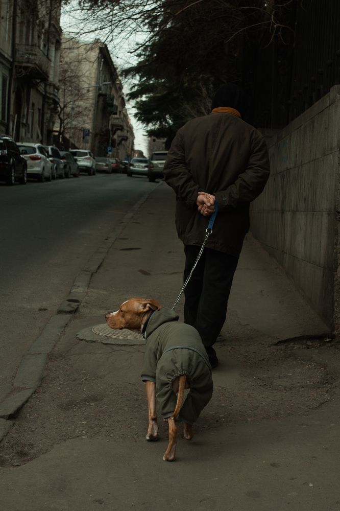 Photograph by Лолита Чапрак