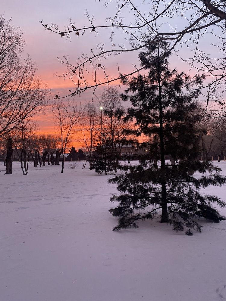 Photograph by Олег Волков