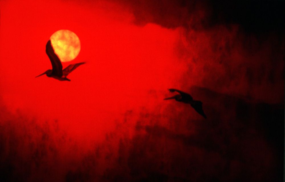 Photograph by Luciano Comba