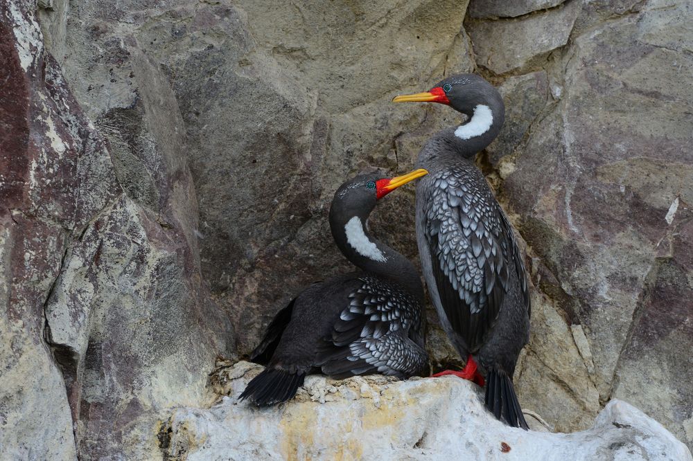 Photograph by SI SABER LOTFI