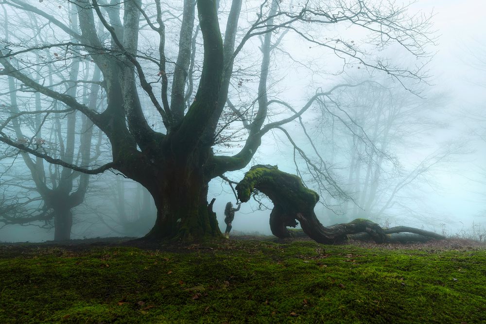 Photograph by Rubén Molina Fernández