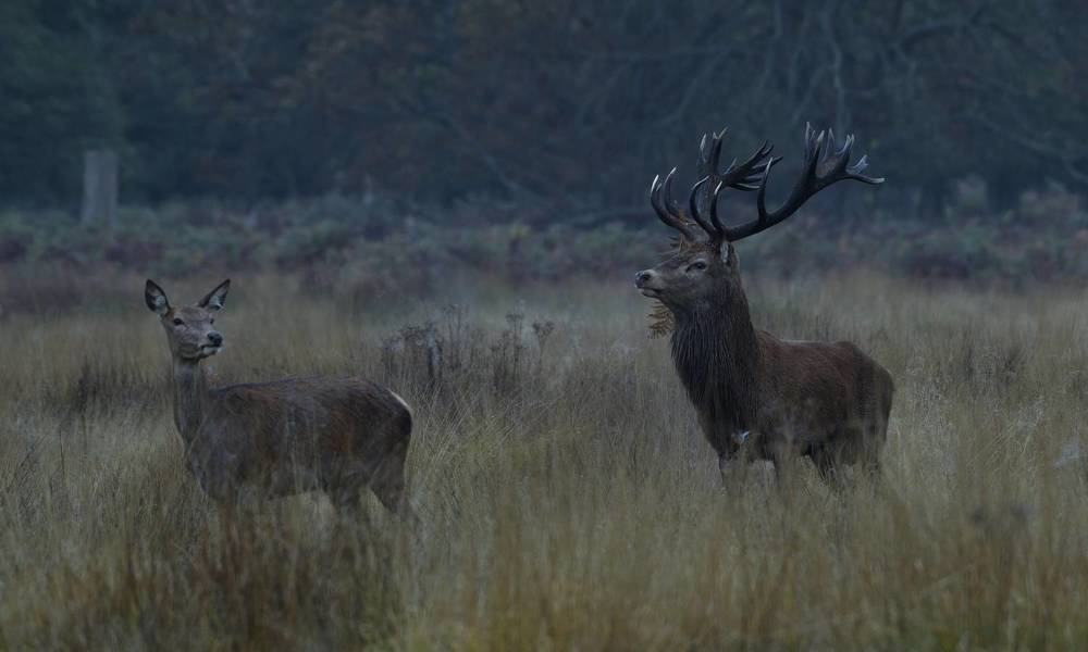 Фотография автора Kowalski Jaroslaw