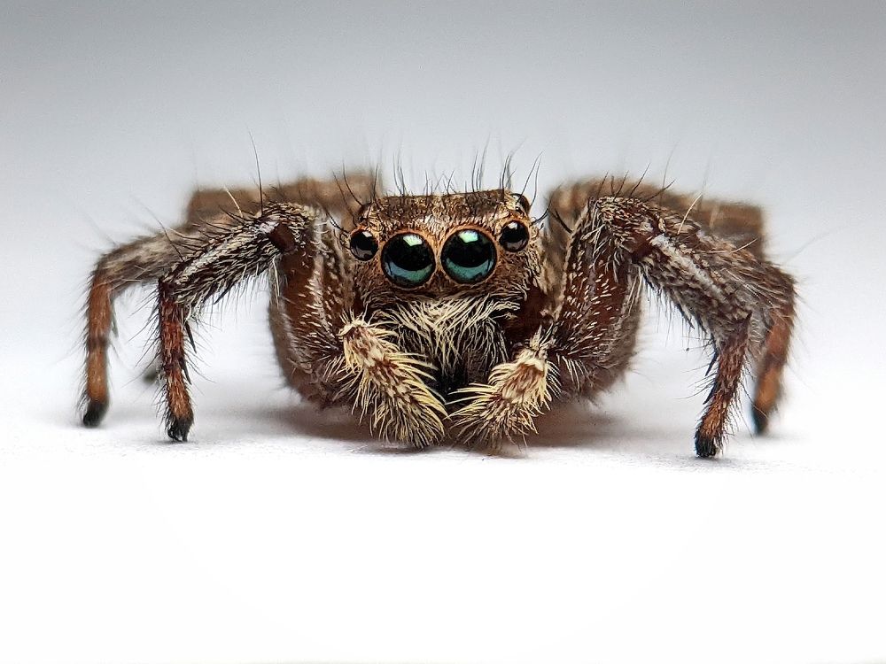 Photograph by Noor Azhar Abd Rasid