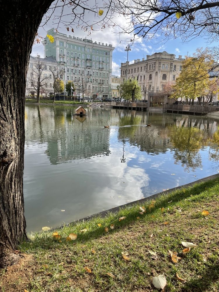 Photograph by Александр Мокров