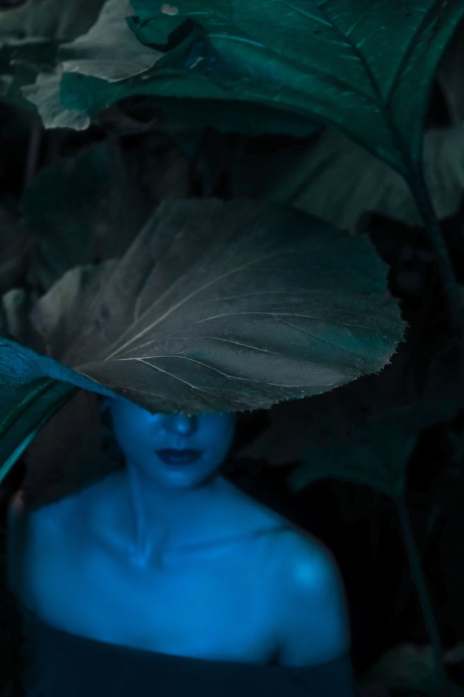 Photograph by Tatiana Erofeeva