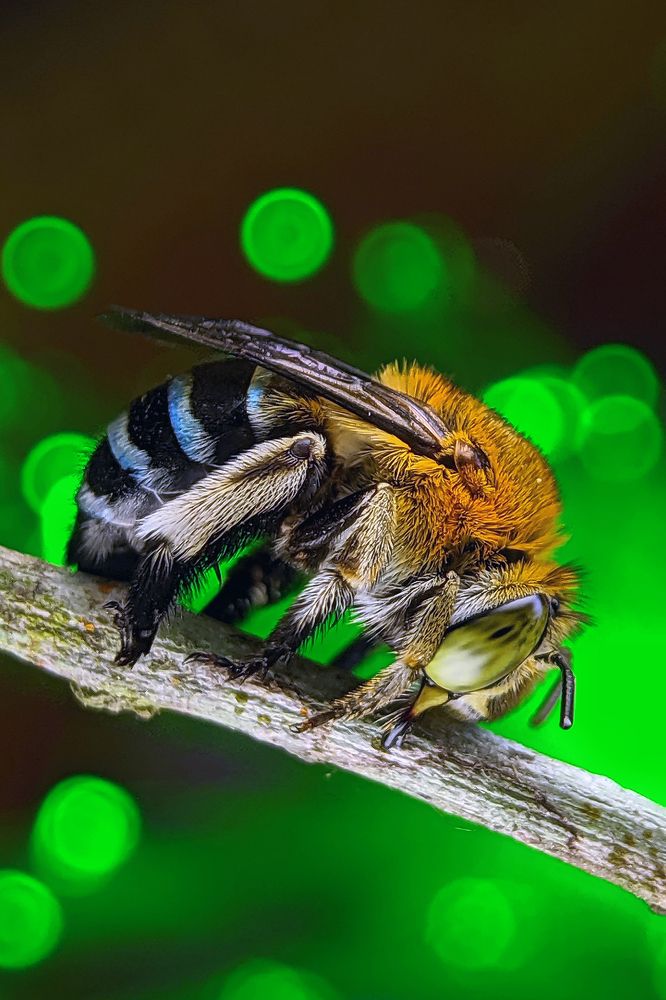 Photograph by Noor Azhar Abd Rasid