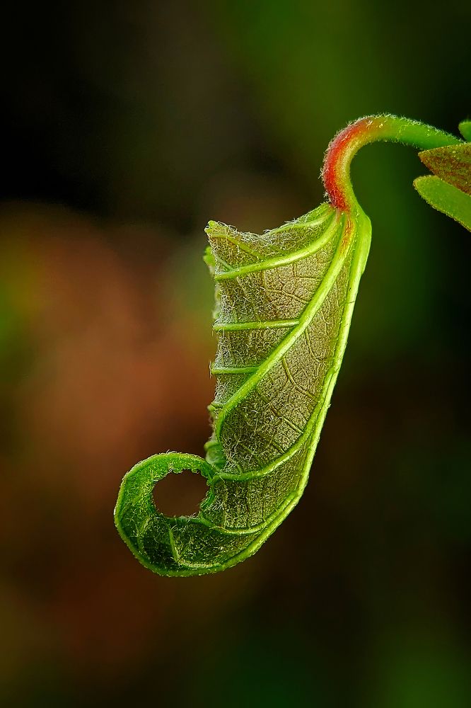 Photograph by Noor Azhar Abd Rasid