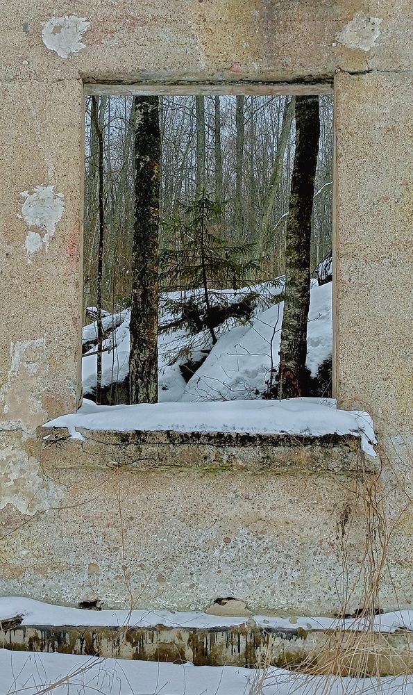 Фотография автора Михаил Урсус