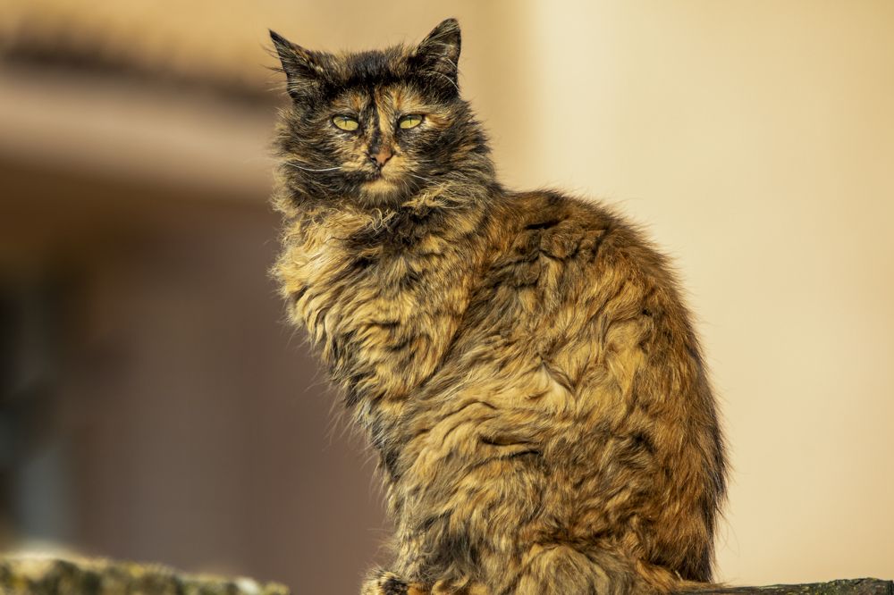 Photograph by عبد قاسم عبدالجليل