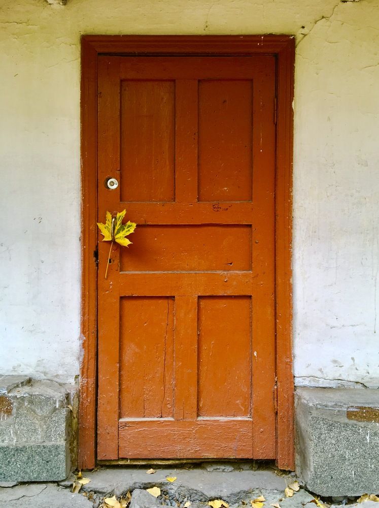 Photograph by Елена Ким