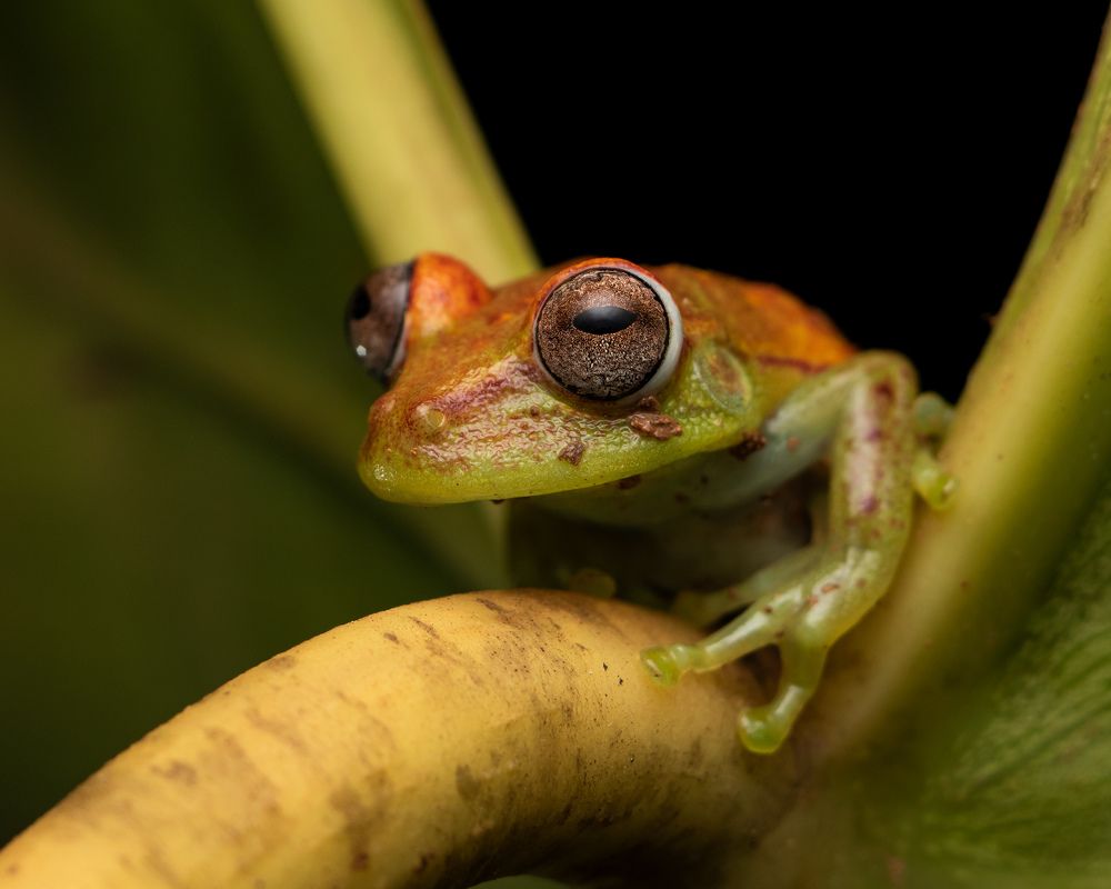 Photograph by Valdir Hobus