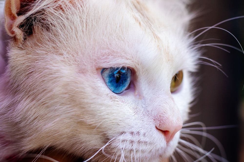 Photograph by عبد قاسم عبدالجليل