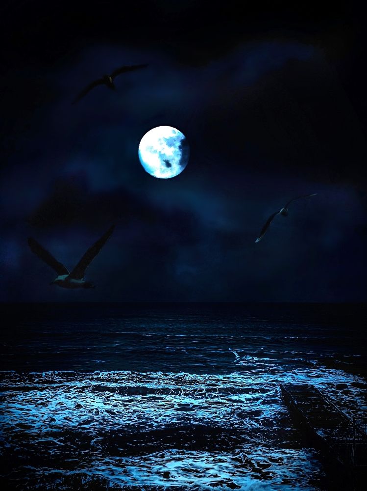 Photograph by СашаДД_