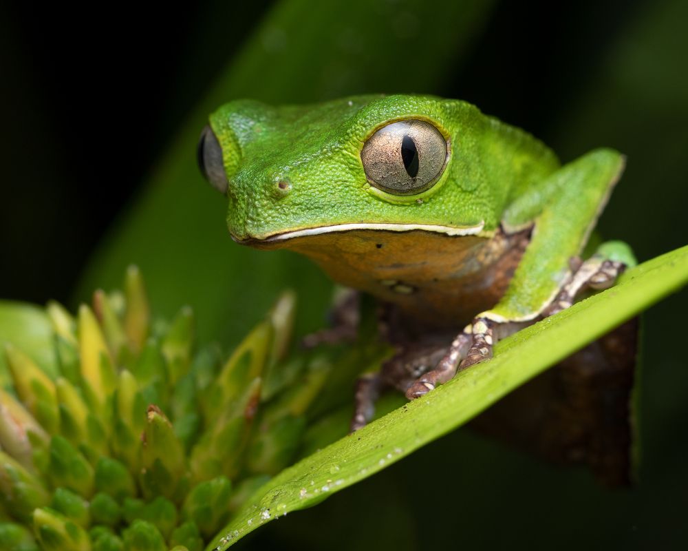 Photograph by Valdir Hobus