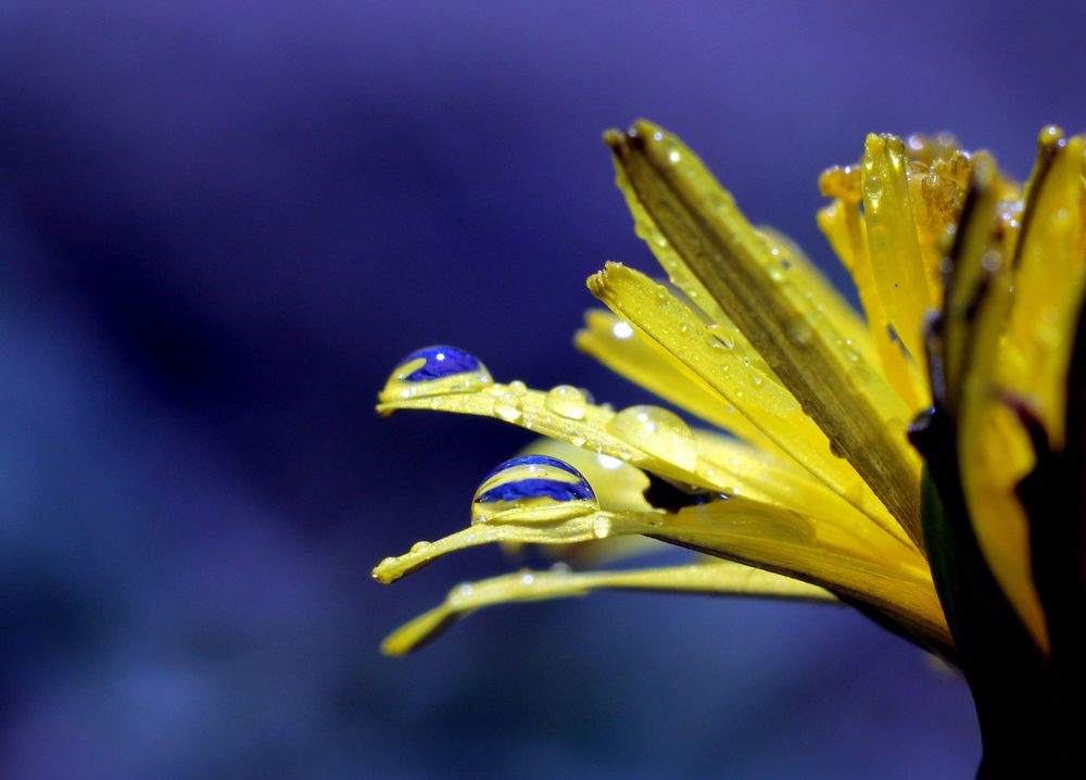 Photograph by Михаил Мехедов