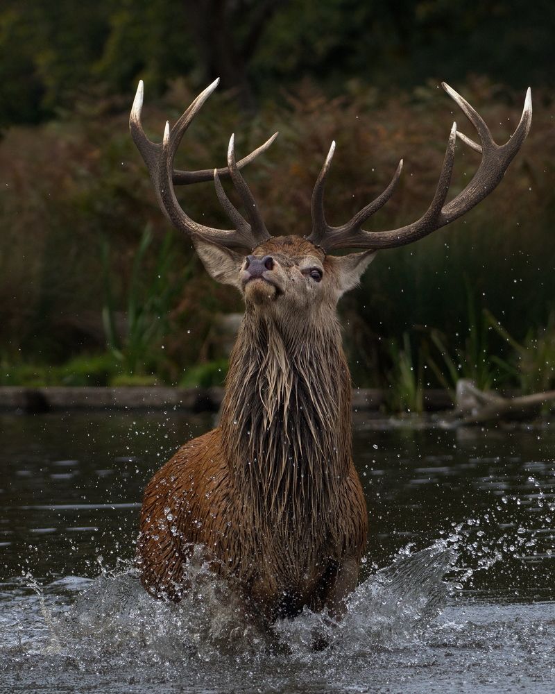 Фотография автора Kowalski Jaroslaw
