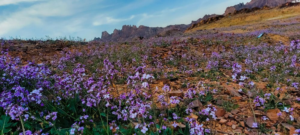 Фотография автора Venus Molina