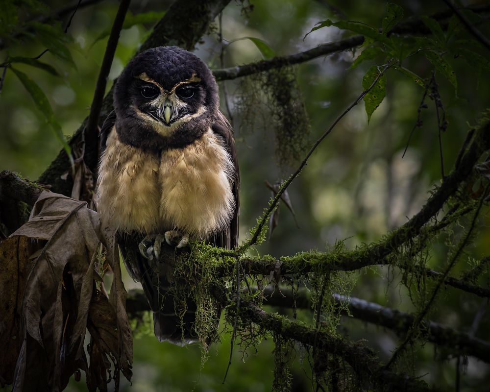 Photograph by Valdir Hobus