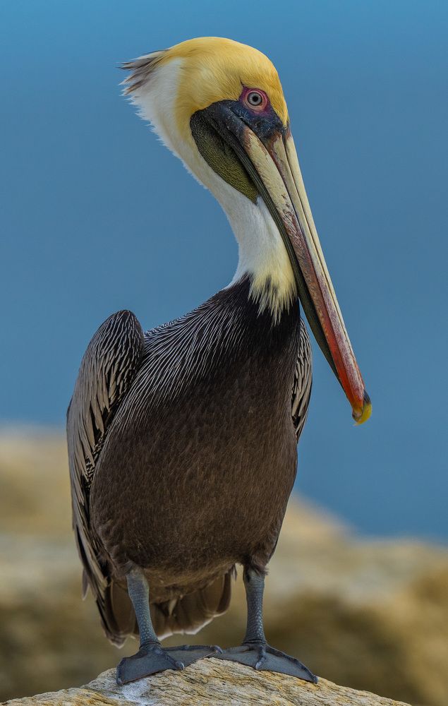 Photograph by Alberto Camardiel