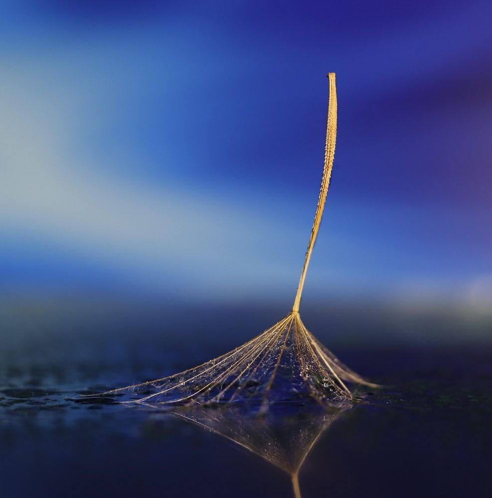 Photograph by Ольга Саенко