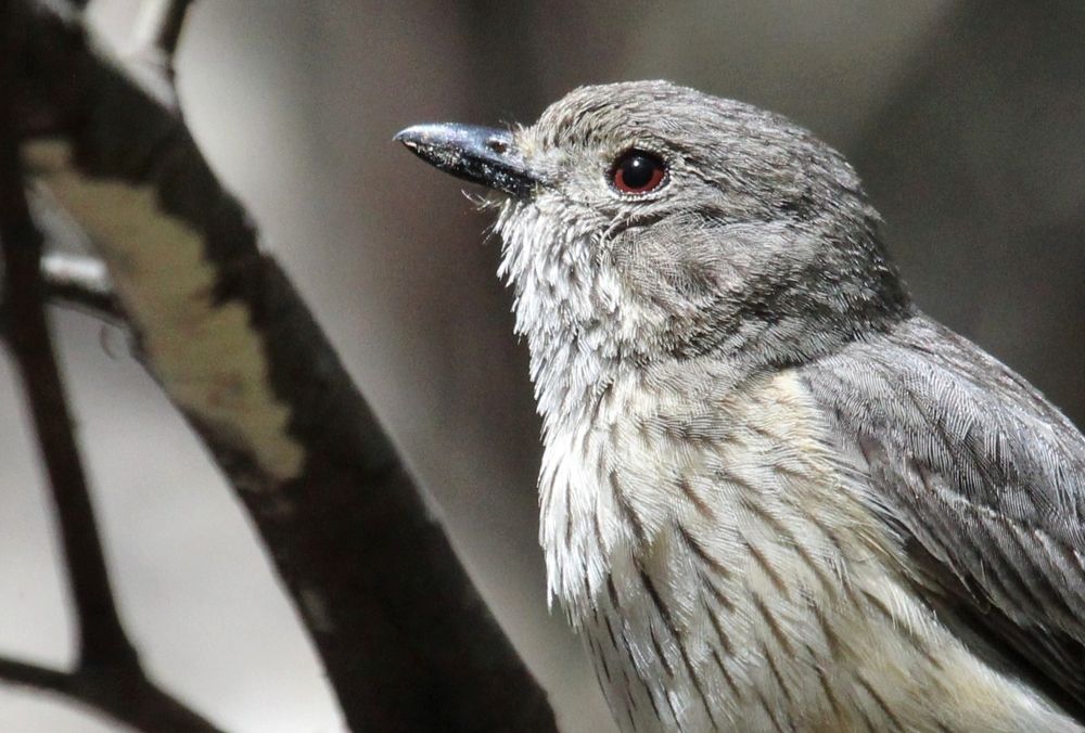 Photograph by Kirsteen Isles