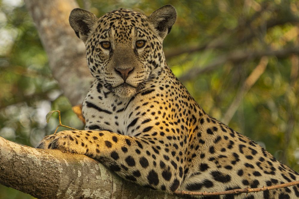 Photograph by Alberto Camardiel