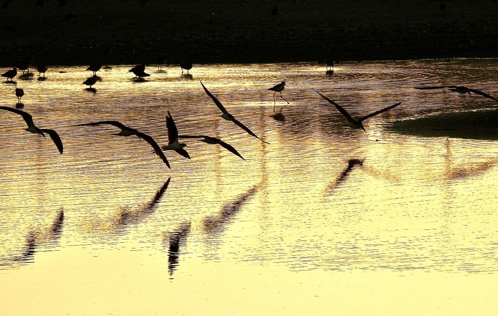 Photograph by wilfredo rojas