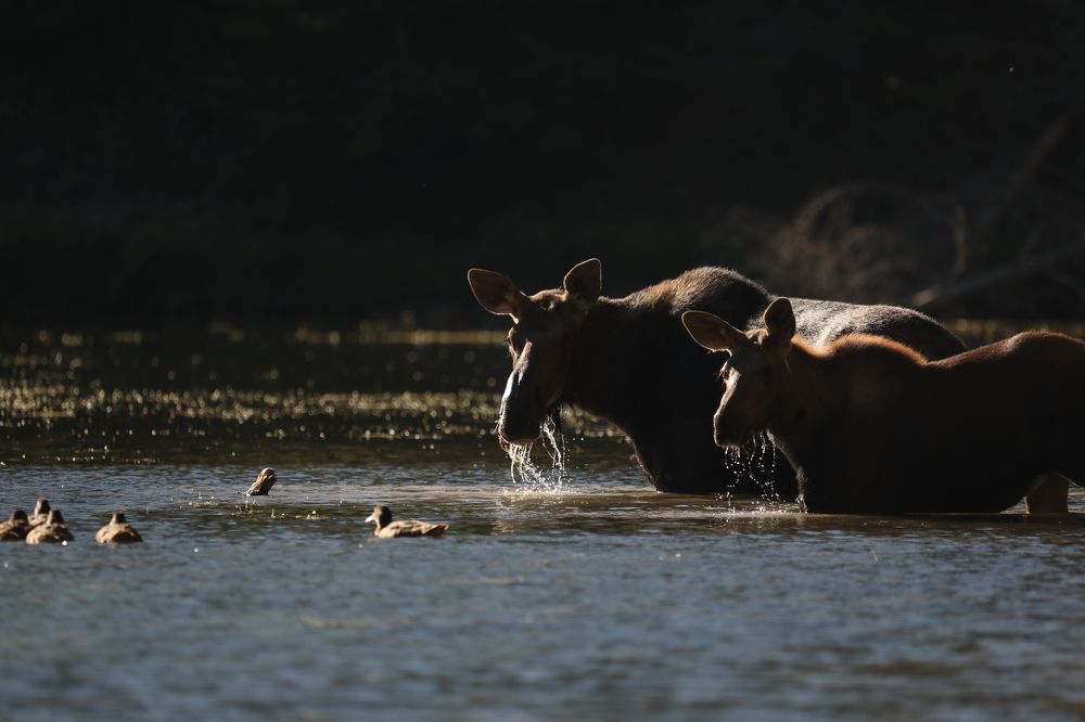 Photograph by Adeliene Lohman