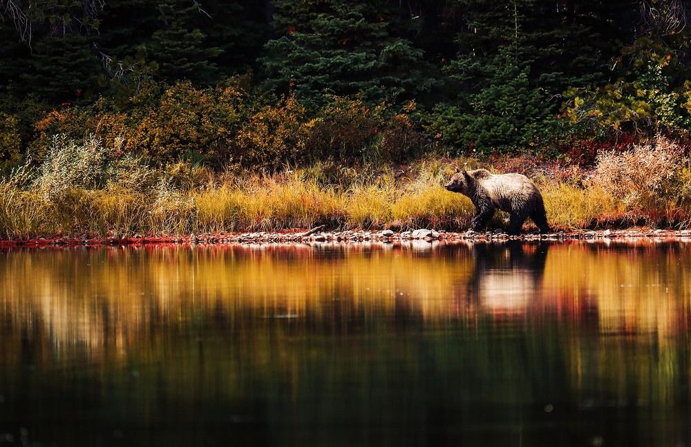 Photograph by Adeliene Lohman