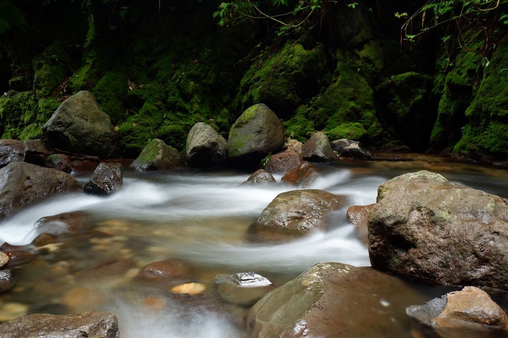 Фотография автора R. Zai