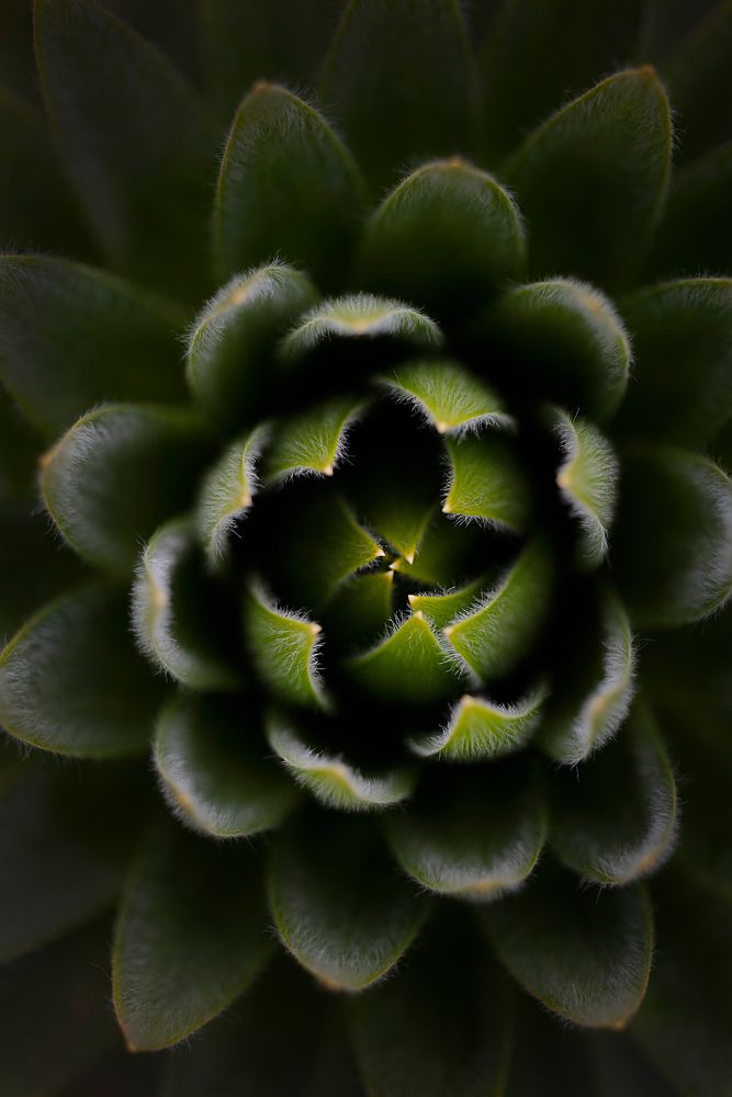 Photograph by Jorge Ivan Vasquez