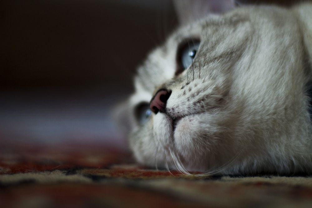 Photograph by Юлия