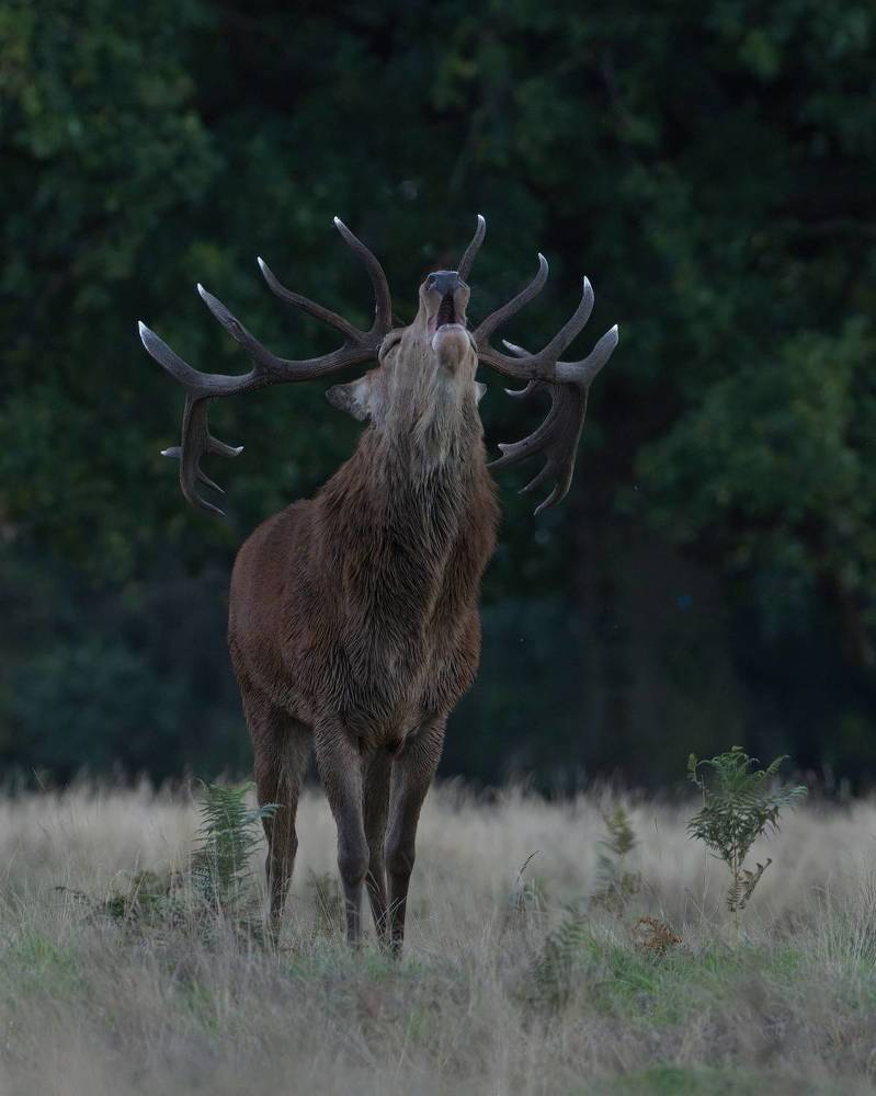 Фотография автора Kowalski Jaroslaw