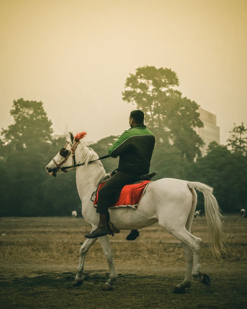 Photograph by Beddipta Pal