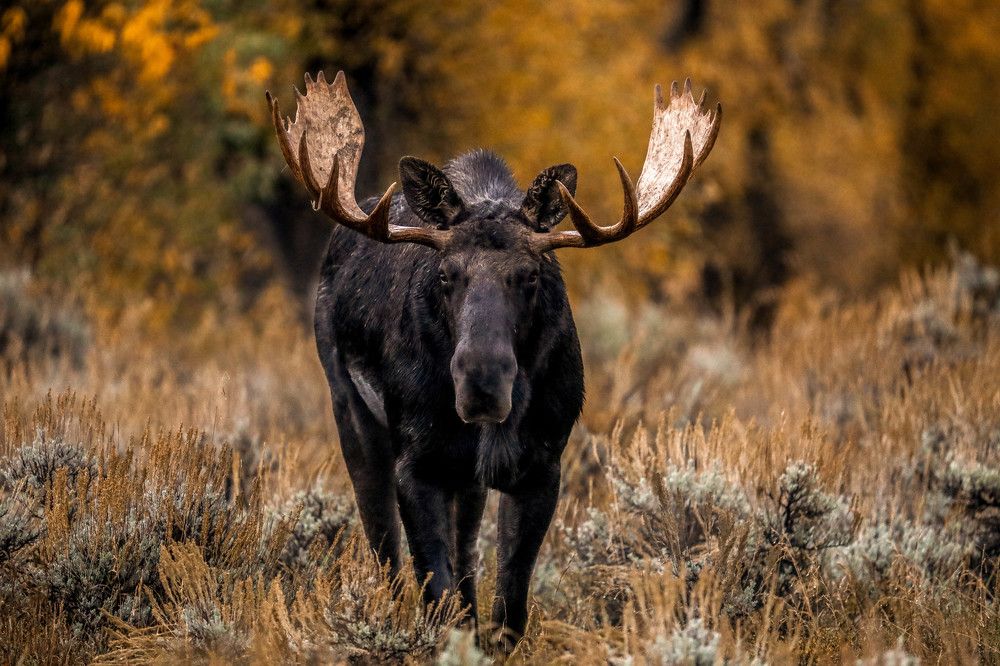 Photograph by Adeliene Lohman