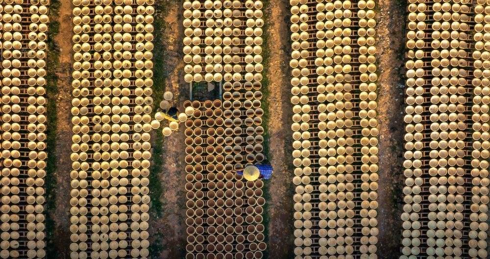 Photograph by Tuấn Nguyễn Tấn