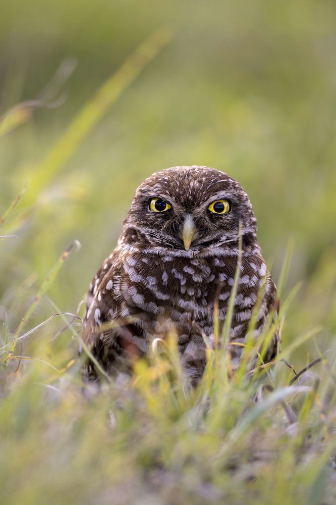 Photograph by Goutham Ganesh Sivanandam