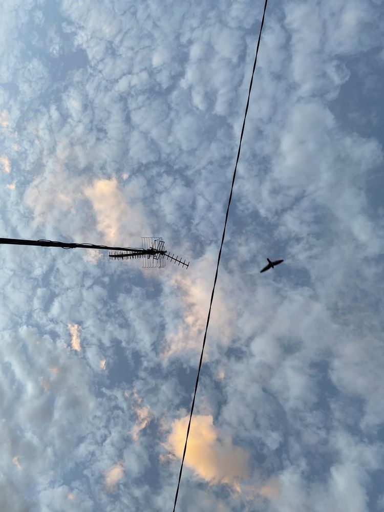 Photograph by Fitria Hida Agustina