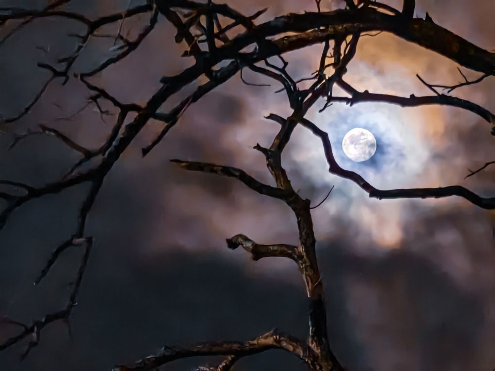 Photograph by Gerald Belanigue