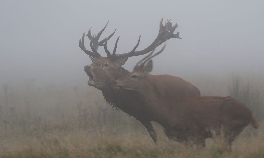 Фотография автора Kowalski Jaroslaw