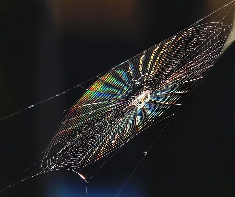 Фотография автора Роман Савоцкий