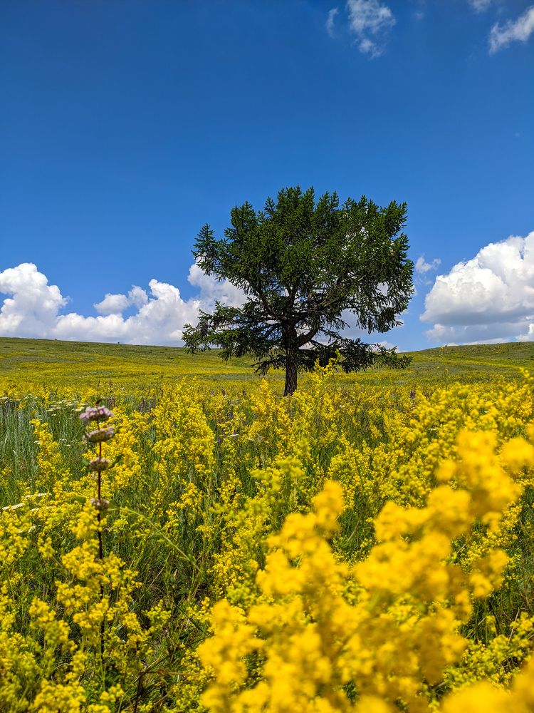 Photograph by Ишниязов Марсель