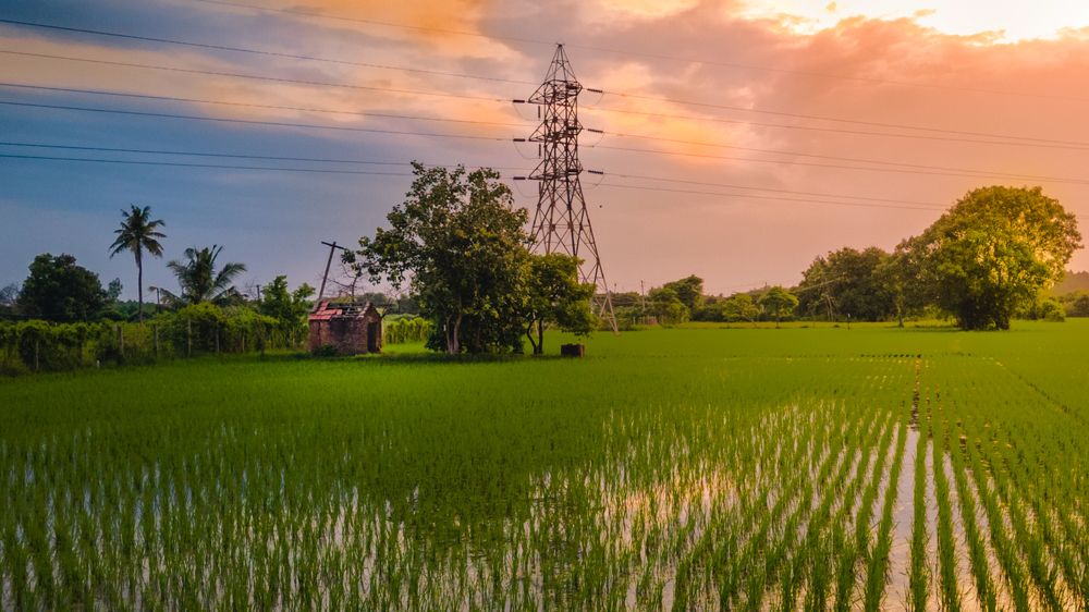 Photograph by Abilash Umapathi