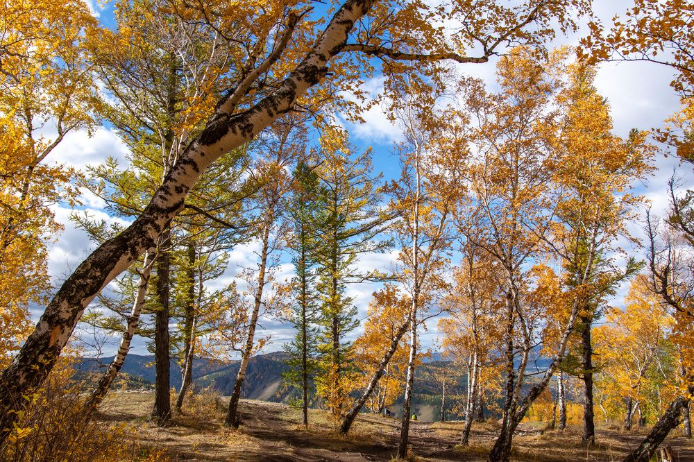 Photograph by Олег Маменко