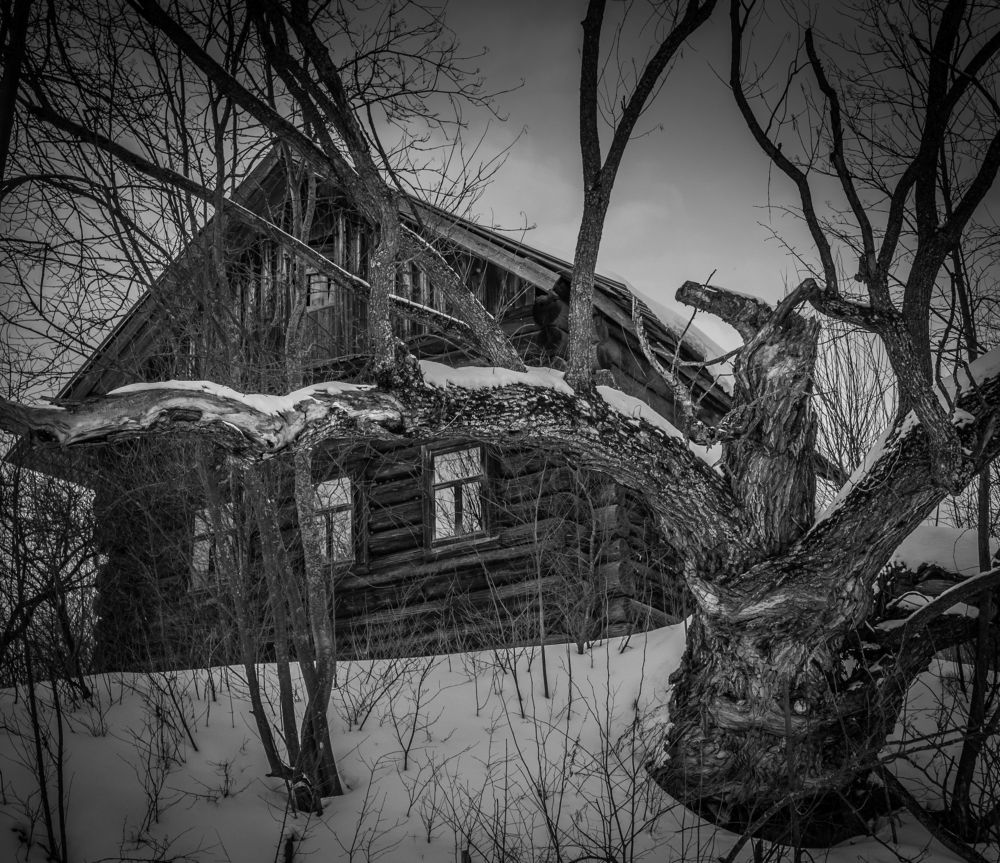 Фотография автора Виктор Руденко