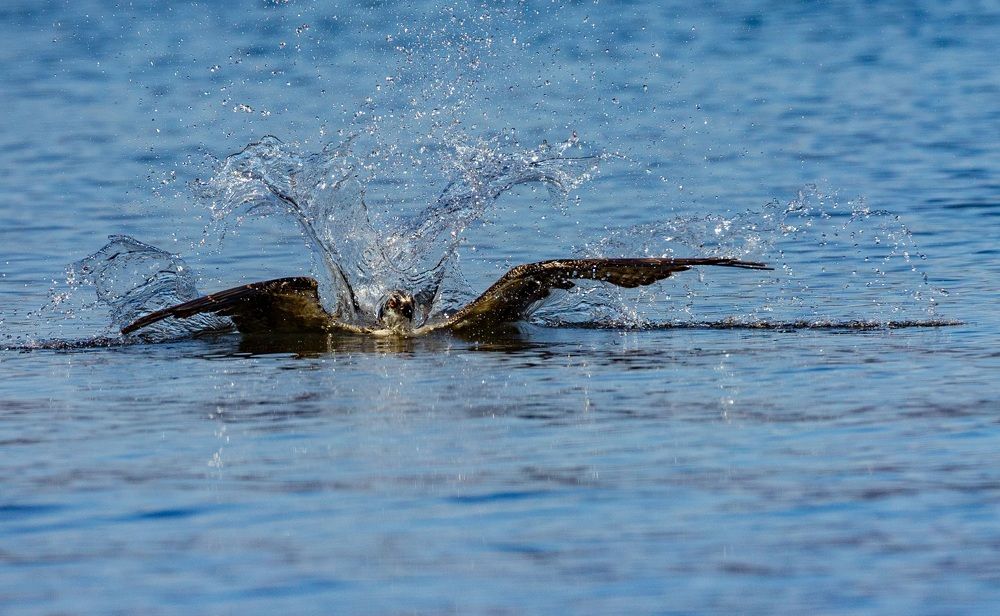 Photograph by Jim Murphy